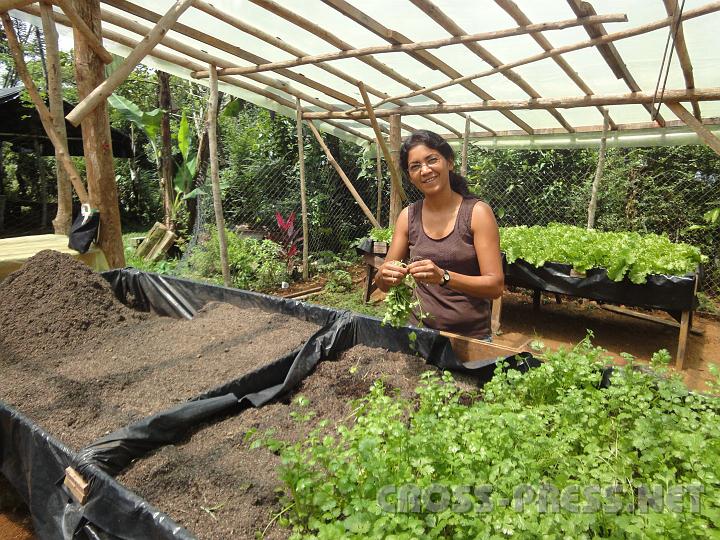 3-37 Frauengruppe.JPG - Das Gewächshaus der Frauengruppe.