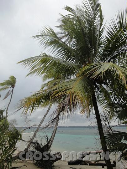 5-50.JPG - Seestern-Strand in Bocas del Toro.