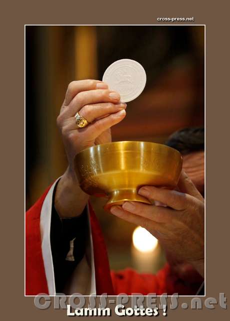 2016.04.09_10.21.13.JPG - Lamm Gottes !