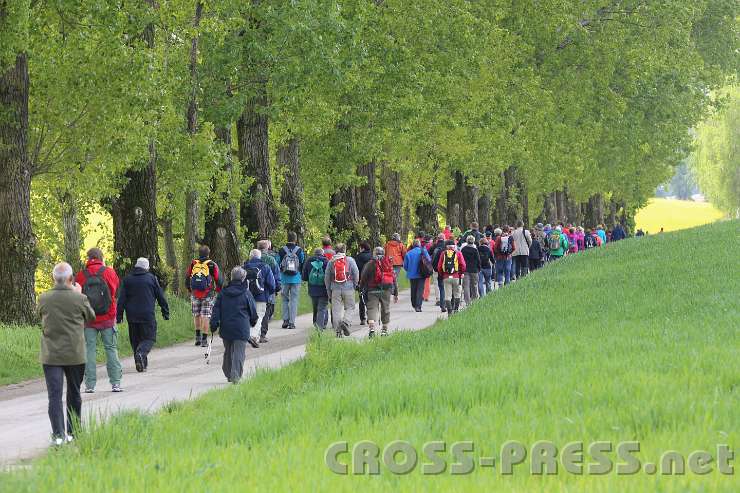2014.05.04_10.15.18.jpg - Idyllische Wegstrecke zwischen Meierhof und Franzosenwald bzw. Schacherhof.
