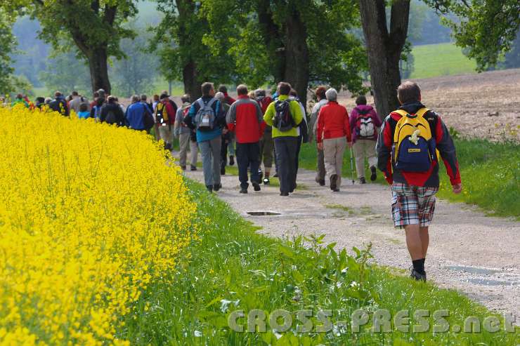 2014.05.04_10.21.14.jpg - Die erste Etappe führt an einem Rapsfeld vorbei.