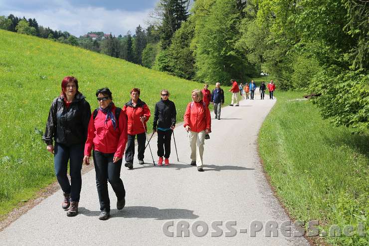 2014.05.04_11.53.11.jpg - Die Mostviertler Hügel auf und ab ...
