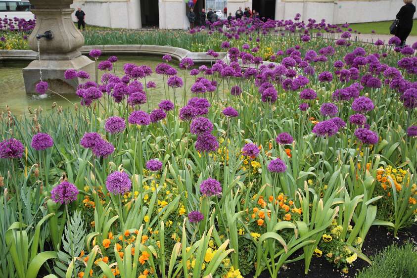 DekanatsFirmung Seitenstetten 2016