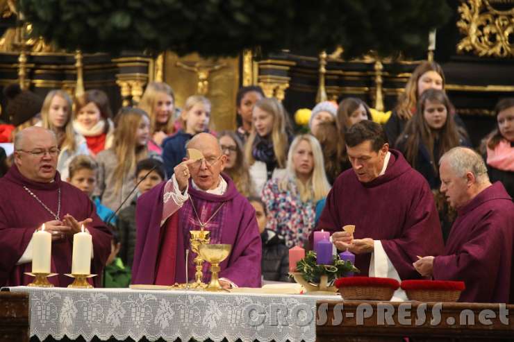 2016.11.29_10.49.07.JPG - Agnus Dei