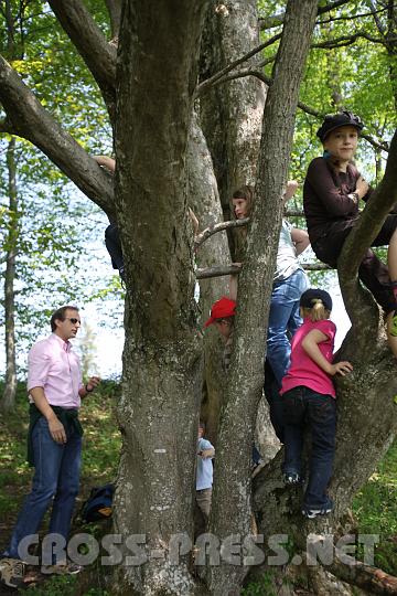 2009.05.03_12.27.50.jpg - Die Kinder fanden einen tollen Kletterbaum am Weg.