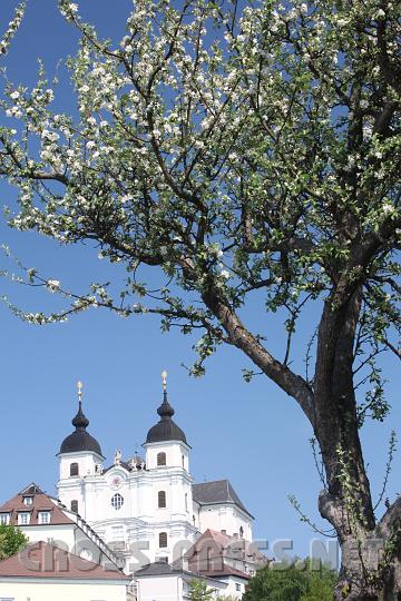 2009.05.03_15.26.55.jpg - Dreifaltigkeitsbasilika