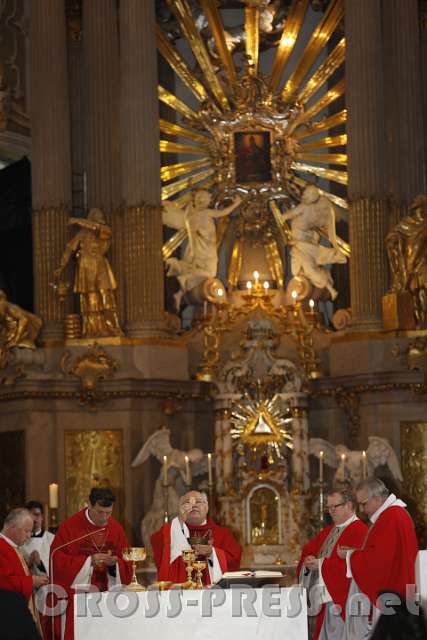 2016.05.16_11.47.33.JPG - Agnus Dei