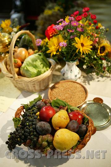 2008.09.28_10.13.23.JPG - Leckere Fr�chte - eine reiche Ernte.