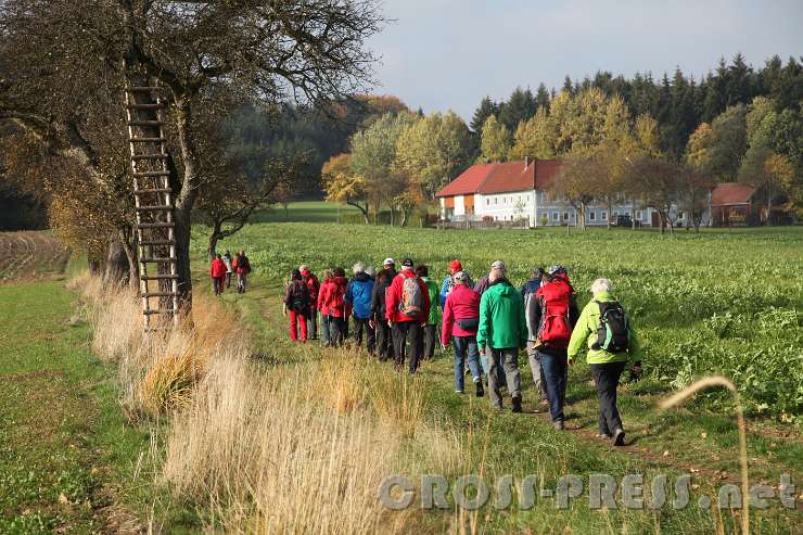 2015.10.26_11.04.19.JPG - Auf dem Weg zum Stockerkogel.