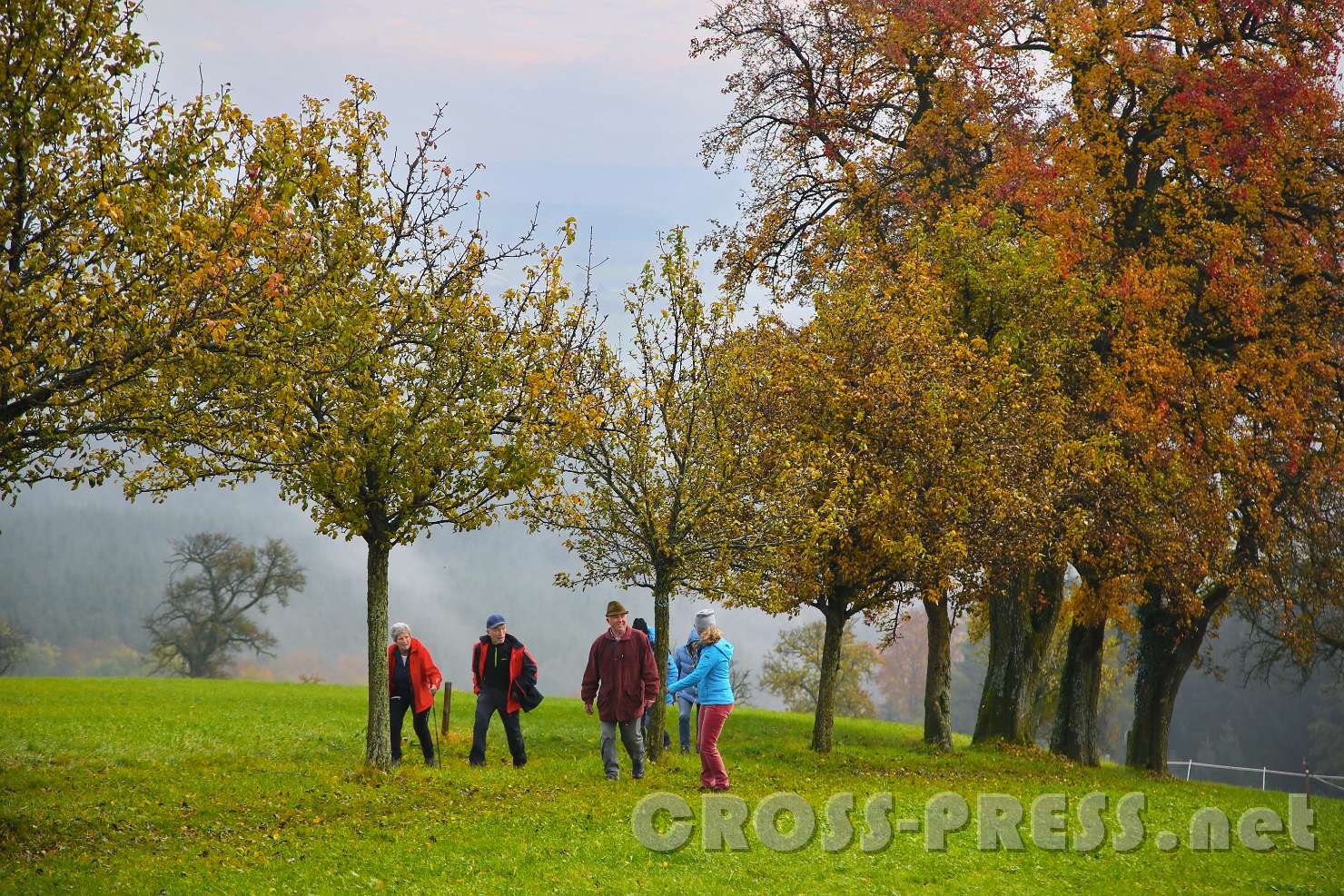 2016.10.26_10.43.35.JPG - Aufstieg zum Stockerkogel.