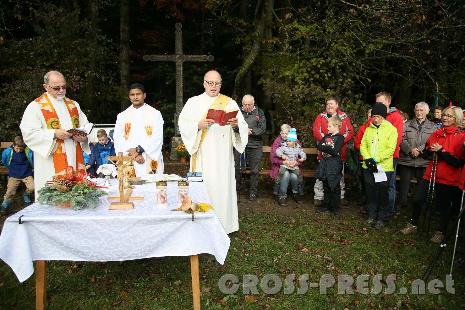 2016.10.26_11.11.52.JPG - Evangelium, gelesen von Diakon Muhr.