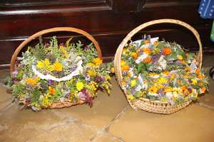 Goldhauben und Trachten-Wallfahrt