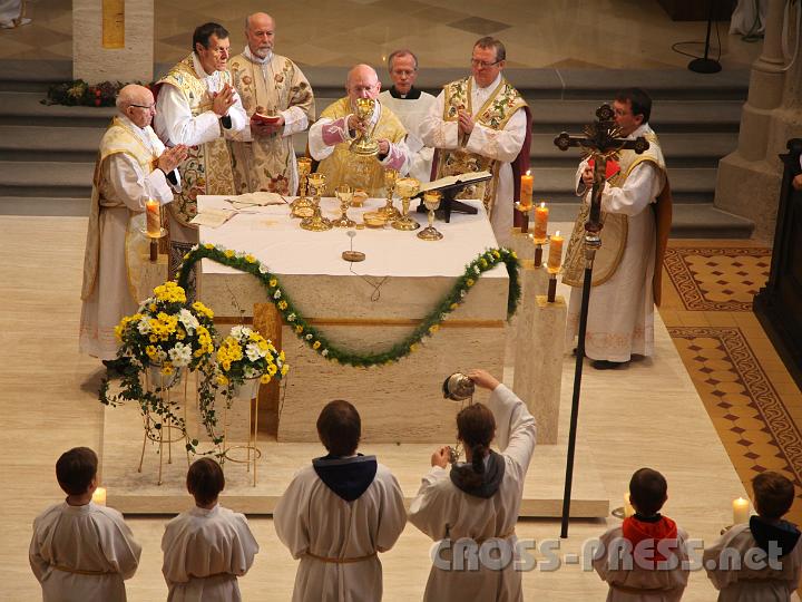 2013.11.10_11.09.56.jpg - Elevation des Kelches