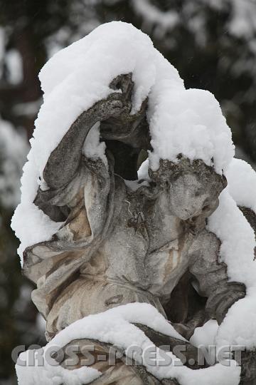 2009.02.21_08.07.55.jpg - Unter der Schneelast.  ;)