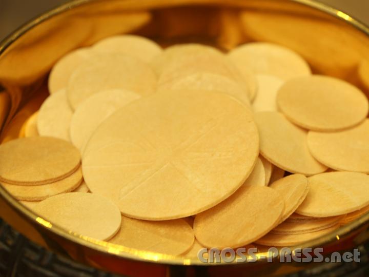 2012.11.18_15.44.43.jpg - Eva und DI Erich Berger, Leiter der Akademie für Familienpädagogik/Schönstatt am Kahlenberg, begrüßen die Familientrainer-Ehepaare und Gäste.