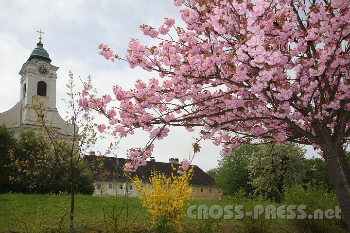 2013.05.04_12.00.18.jpg - Anfänglich ein trüber und verregneter Tag, bescherte später die Sonne den Familien Frühlingsfreude.