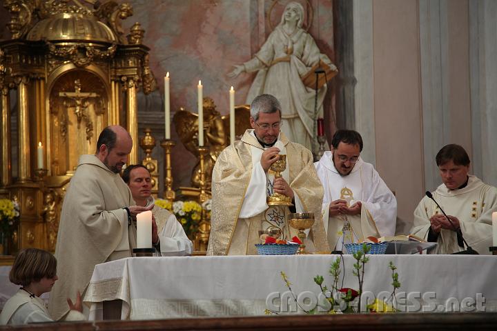 2013.05.04_17.18.17.jpg - Agnus Dei