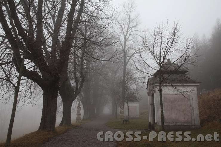 2014.01.18_15.09.27.jpg - Das Gedicht "Im Nebel" von Hermann Hesse passt gut zu dieser Spätnachmittagsstimmung:  "Seltsam, im Nebel zu wandern!Einsam ist jeder Busch und Stein,Kein Baum sieht den anderen,Jeder ist allein. ...