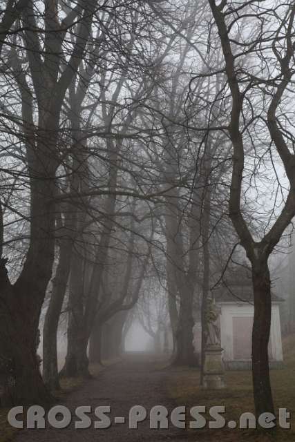2014.01.18_15.10.58.jpg - Doch das hier ist ein Kreuzweg,an dessen Ende die Auferstehung wartet.