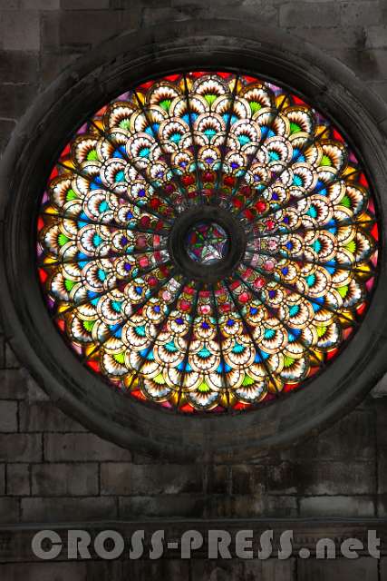 2015.07.29_12.10.41.jpg - Rosette