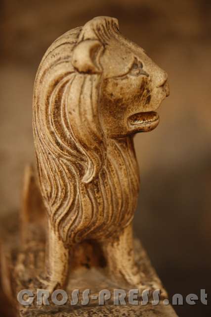 2015.07.29_13.38.52.jpg - Löwe