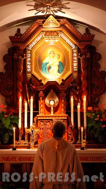 2015.11.21_17.32.46.jpg - Bild der Mater Ter Admirabilis (MTA) - der dreimal wunderbaren Mutter.