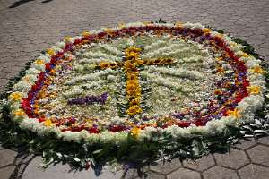 HeimatPrimiz von Christoph Hofstätter