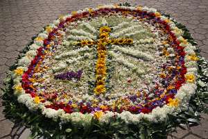 HeimatPrimiz von Christoph Hofstätter