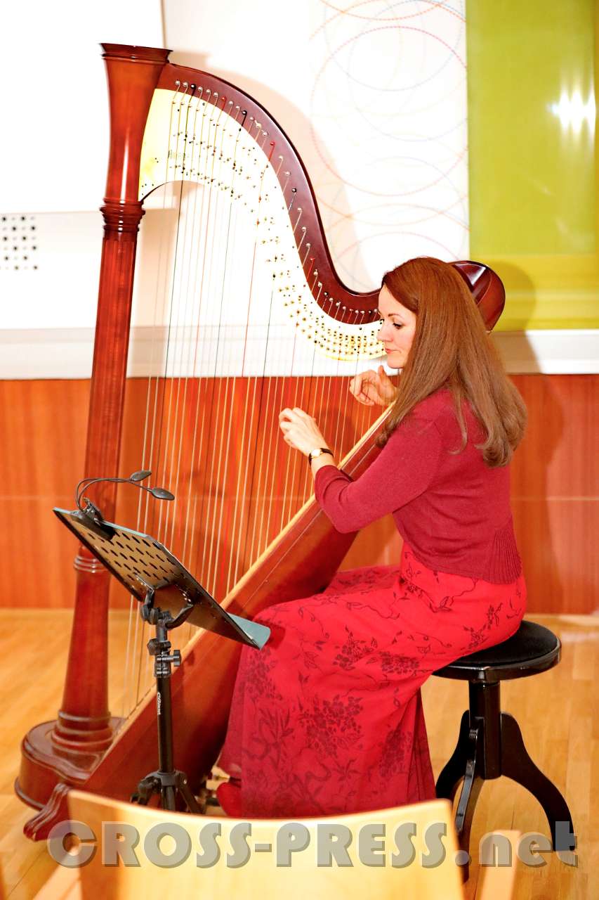 2017.05.04_20.35.46.jpg - Dr. Verena Bader an der Harfe