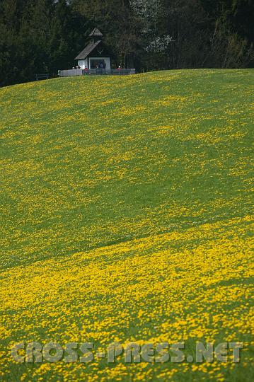 2008.04.27_12.56.00.JPG - Hubertus-Kapelle im Gr�n.
