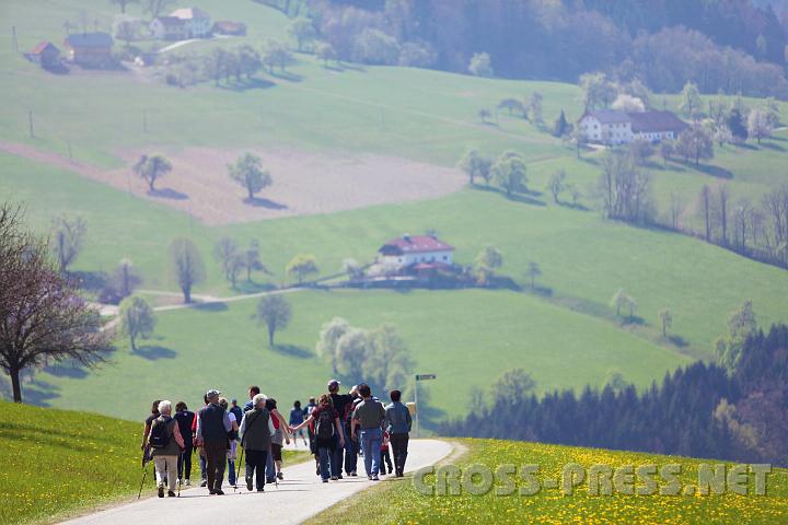 2010.04.25_10.58.26.jpg - Wie auf einer Riesenleinwand h�ngt die wundersch�ne Mostviertel-Voralpen-Landschaft vor den Wanderern.