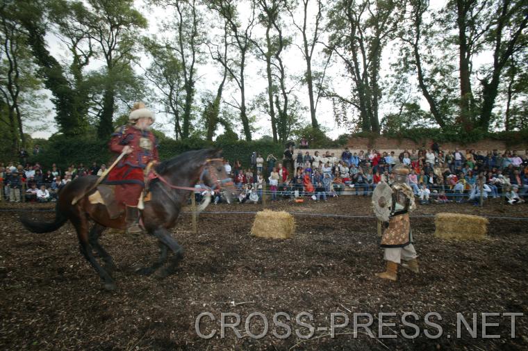 06.09.18_010 Der Morgenstern ist zum Gl�ck aus Leder.