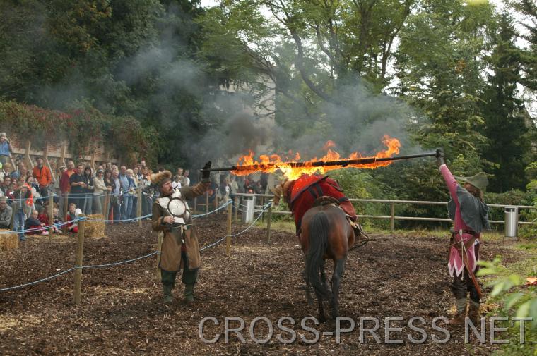 06.09.18_038 Pferdemutprobe