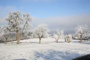 2016.12.31_10.52.34 Ein Marterl in winterlicher Pracht